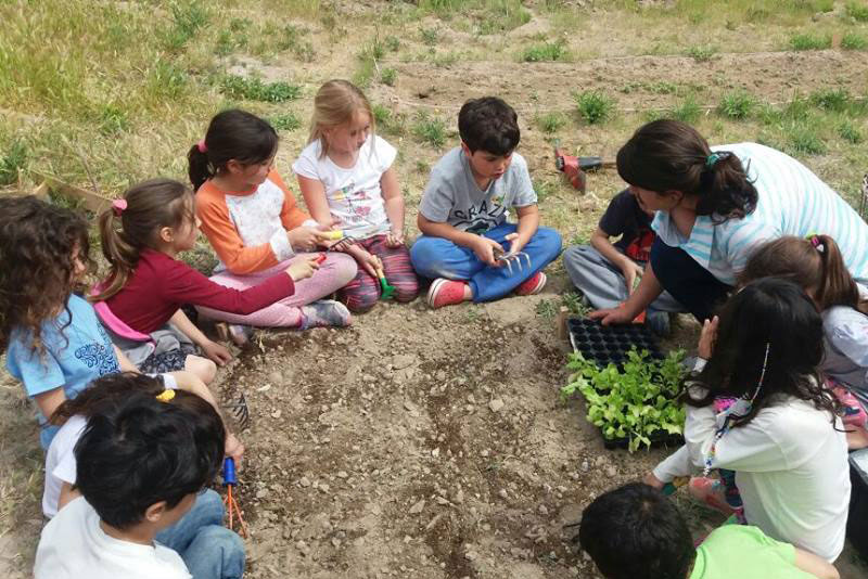 Escuela Tierra de Infancia